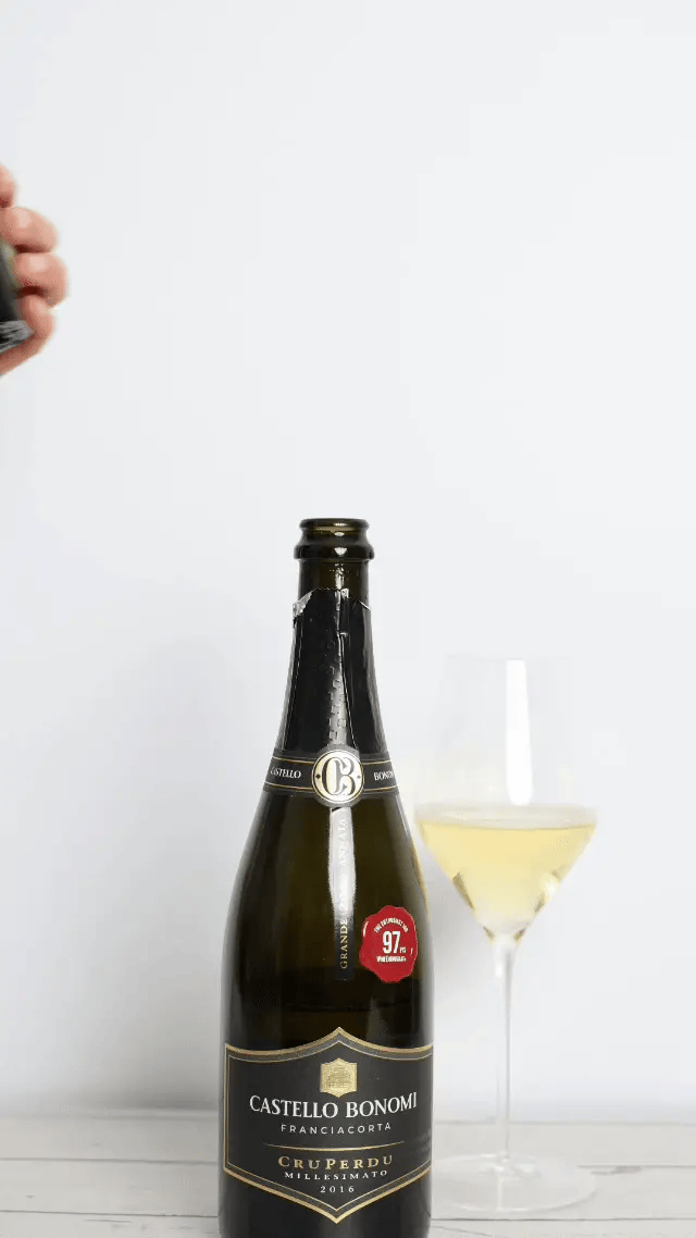 Seal with the Sparkling Stopper