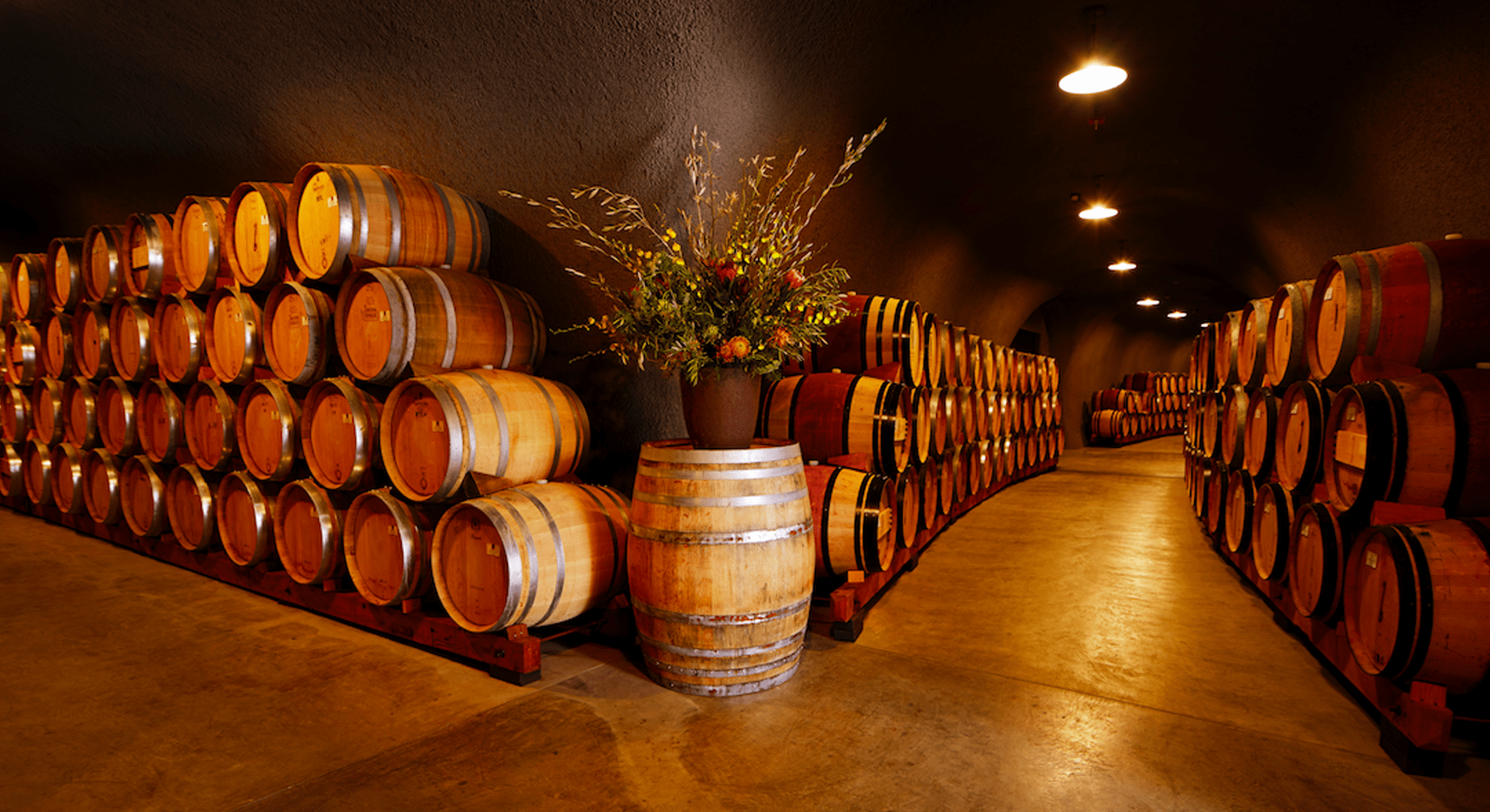 Cellar Grad Cellar Chat: Curtis Strohl on Single Vineyards | Coravin UK